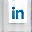 Icona LinkedIn